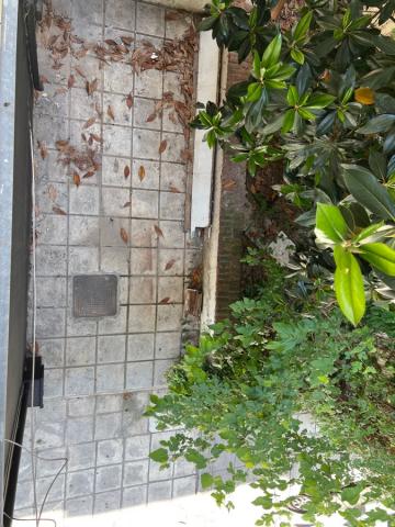 Φωτογραφία 1