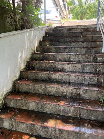 Φωτογραφία 2