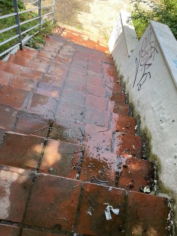 Φωτογραφία 3