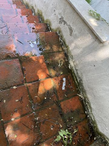 Φωτογραφία 4