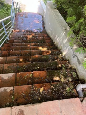 Φωτογραφία 5