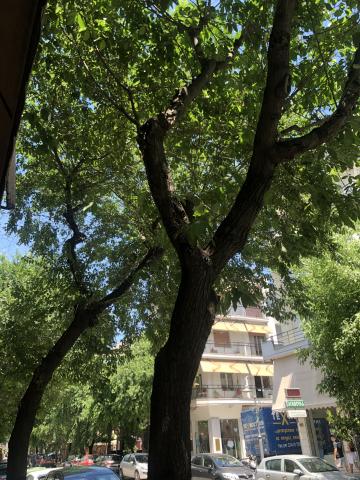 Φωτογραφία 2