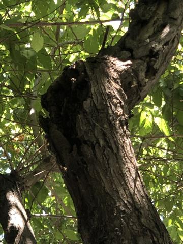 Φωτογραφία 3