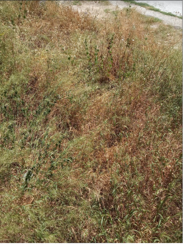 Φωτογραφία 2