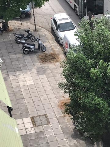 Φωτογραφία 2