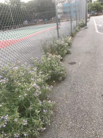 Φωτογραφία 4