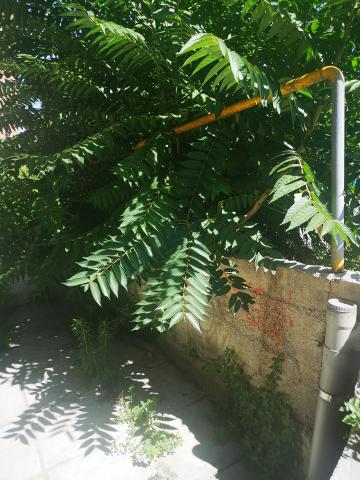 Φωτογραφία 2