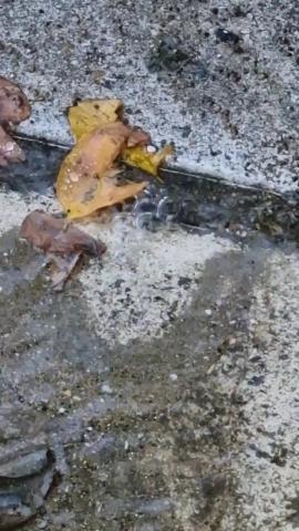 Φωτογραφία 2