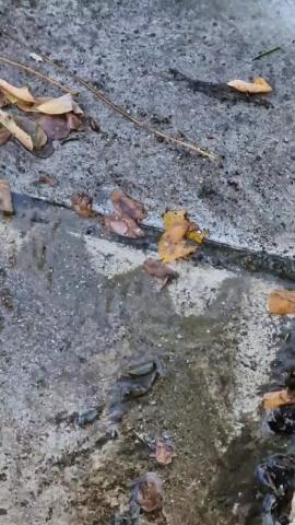 Φωτογραφία 3