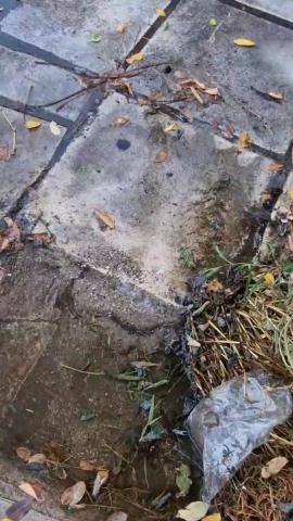 Φωτογραφία 4