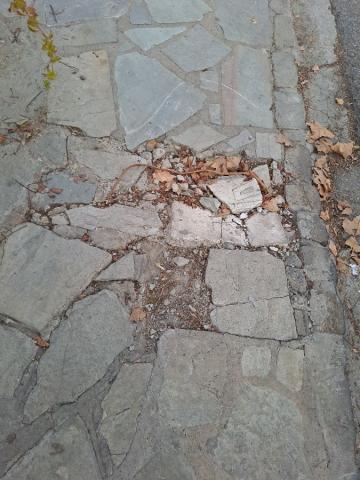 Φωτογραφία 2