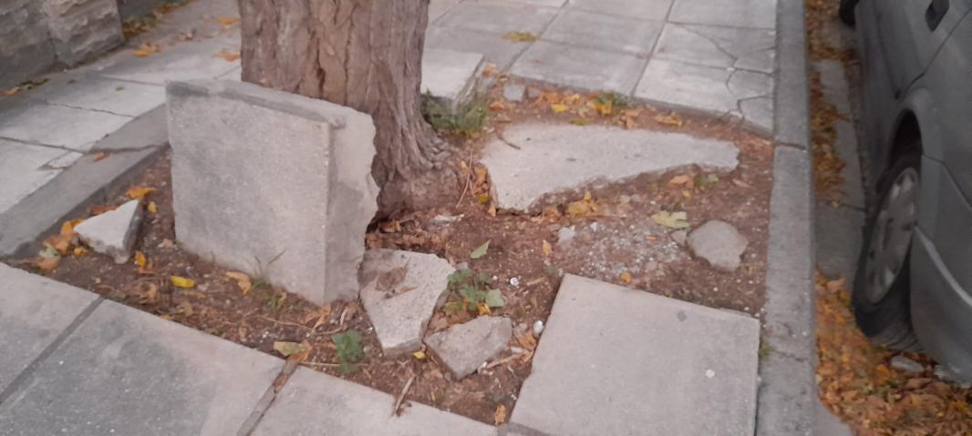 Φωτογραφία 2