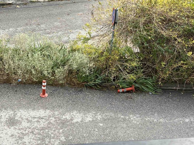 Φωτογραφία 2