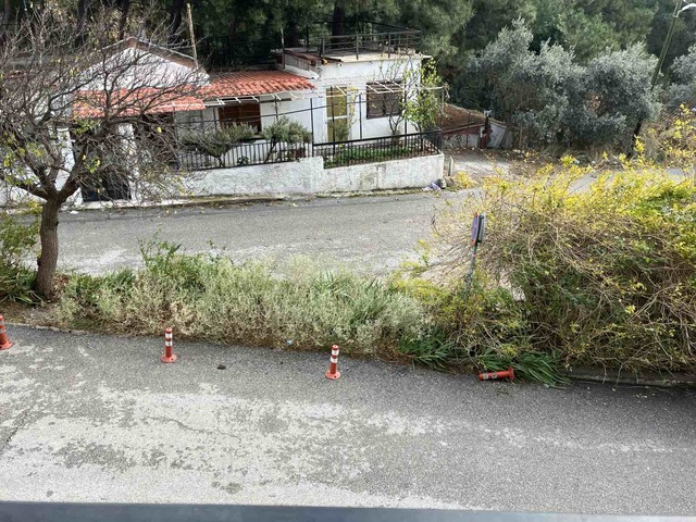 Φωτογραφία 3