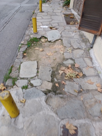 Φωτογραφία 2