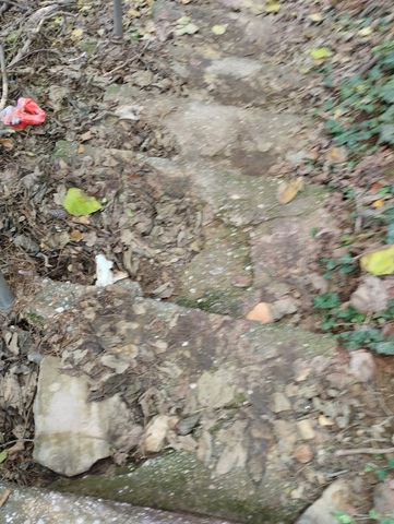 Φωτογραφία 2