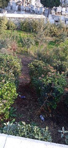 Φωτογραφία 2