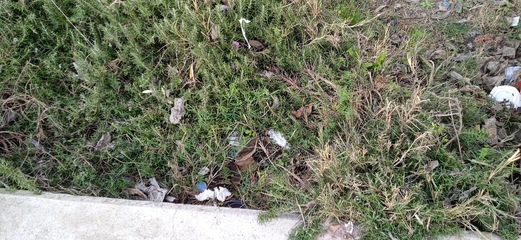 Φωτογραφία 3