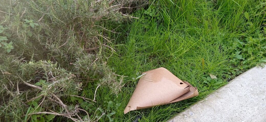 Φωτογραφία 4