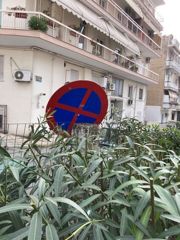 Φωτογραφία 2