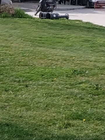 Φωτογραφία 3